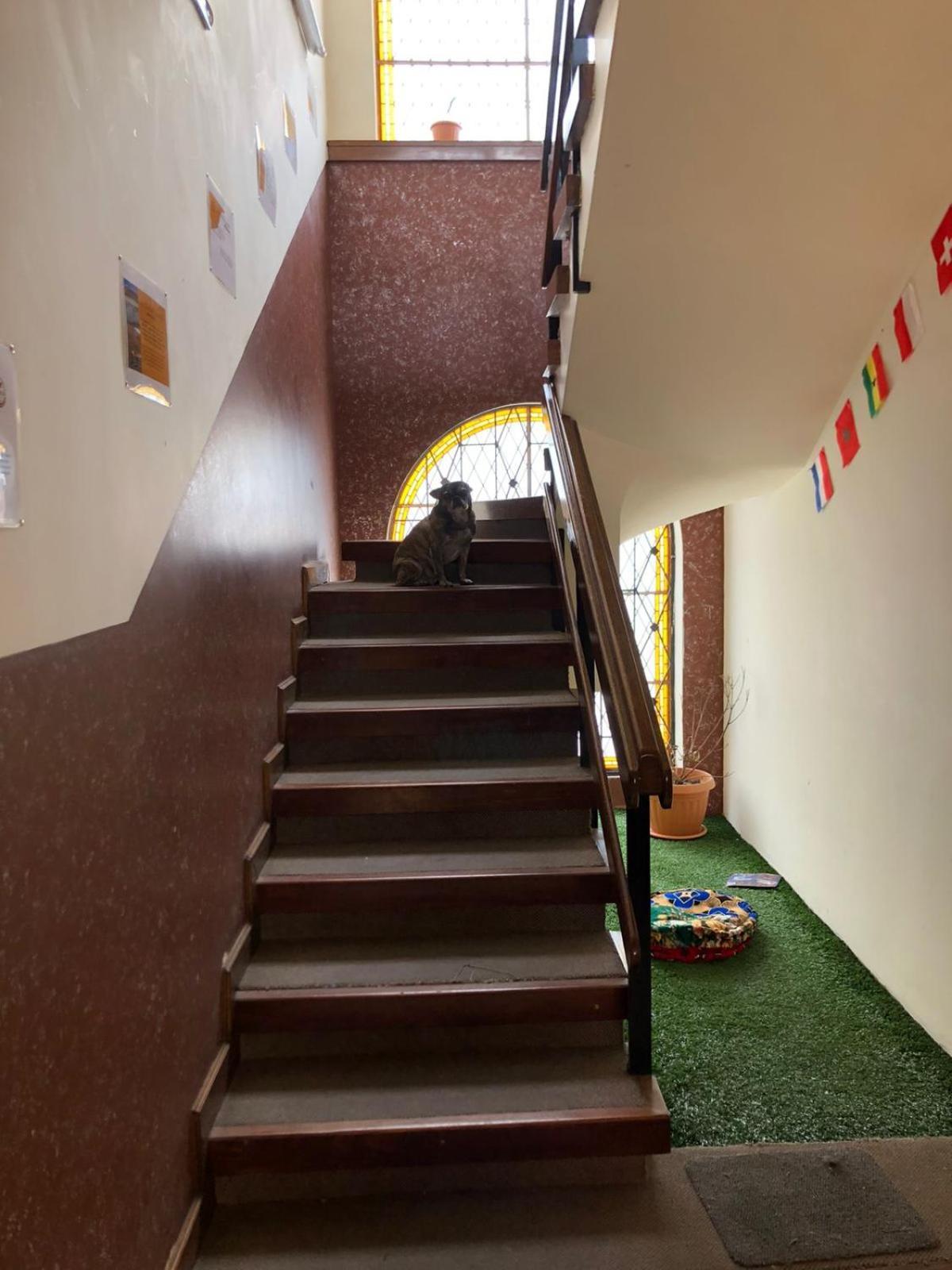 Home In Hostel La Paz Bagian luar foto